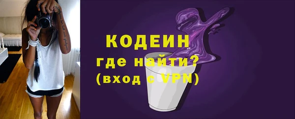 индика Гусь-Хрустальный