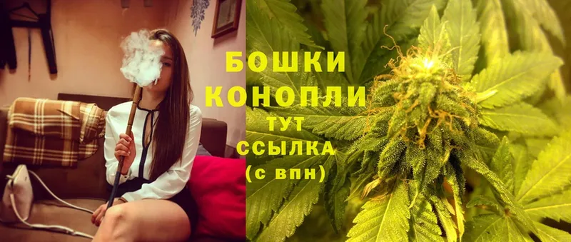 Каннабис OG Kush  Шелехов 